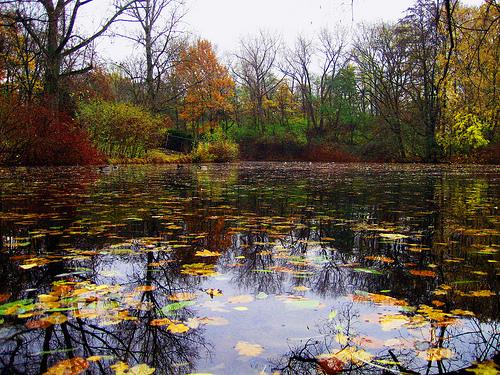 Công viên Tiergarten – Lá phổi xanh của thủ đô Berlin - 3