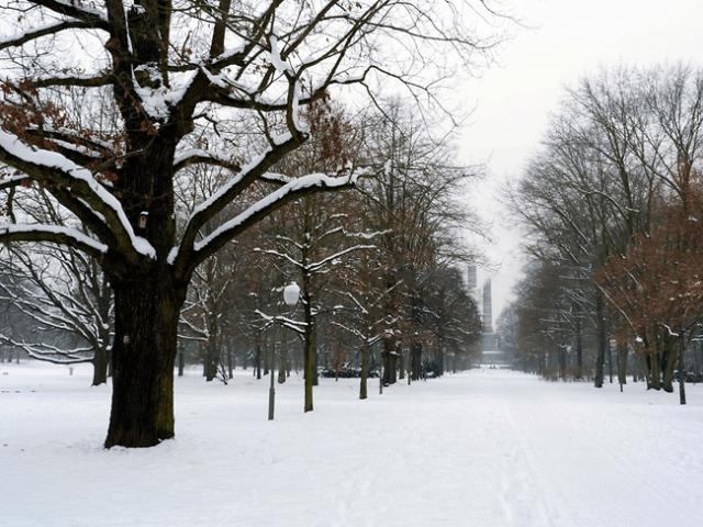 Công viên Tiergarten – Lá phổi xanh của thủ đô Berlin - 5