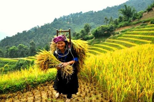 11 thói quen ‘bình dân’ nhưng giúp bạn sống lâu và hạnh phúc - 5