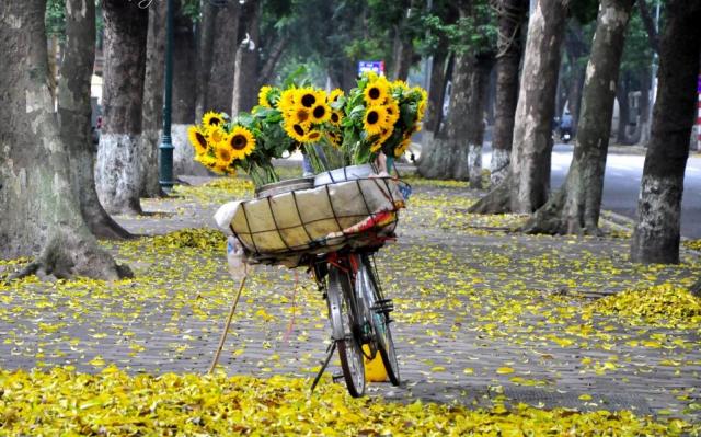 Lời từ biệt cuối mùa thu: Cả yêu thương, cả tủi hờn buồn giận, em ùa vào, em trút xuống mùa thu - 0