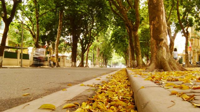 Lời từ biệt cuối mùa thu: Cả yêu thương, cả tủi hờn buồn giận, em ùa vào, em trút xuống mùa thu - 1