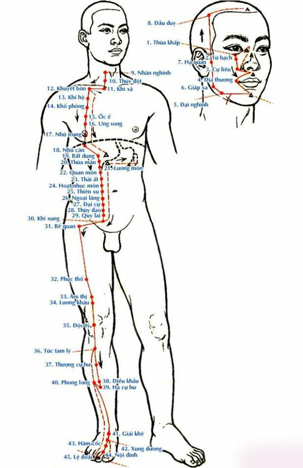 Tăng cường khí huyết kéo dài tuổi thọ nhờ biết cách ‘chăm sóc’ dạ dày - 2