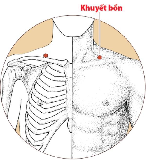 Tăng cường khí huyết kéo dài tuổi thọ nhờ biết cách ‘chăm sóc’ dạ dày - 6