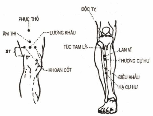 Tăng cường khí huyết kéo dài tuổi thọ nhờ biết cách ‘chăm sóc’ dạ dày - 11