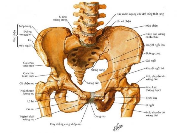 Các xét nghiệm y tế ai cũng cần làm để phòng ngừa các bệnh nghiêm trọng - 2