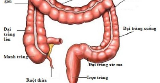 Lời khuyên từ bác sĩ Mỹ nổi tiếng: Cái chết bắt nguồn từ ruột kết