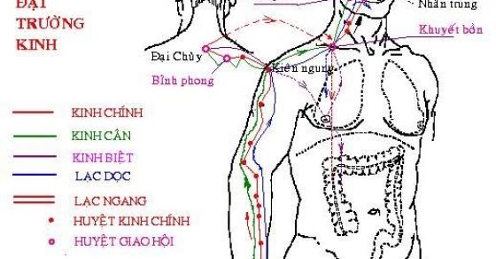 132 4 Thai Doc Va Duong Sinh Voi Huyet Van Nang Chi 3 Phut Moi Ngay