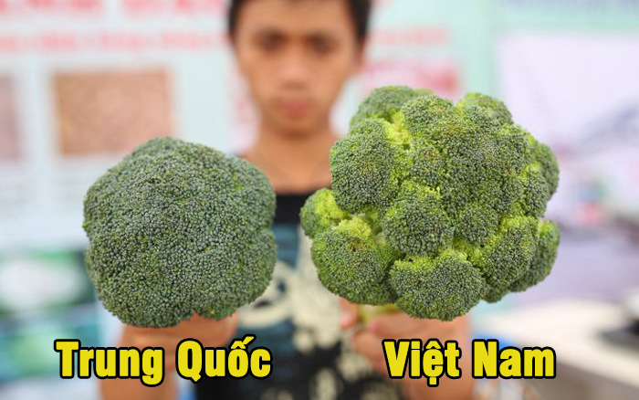 20 mẹo phân biệt thực phẩm Trung Quốc và Việt Nam mà những bà nội chợ cần lưu ý và bỏ túi ngay