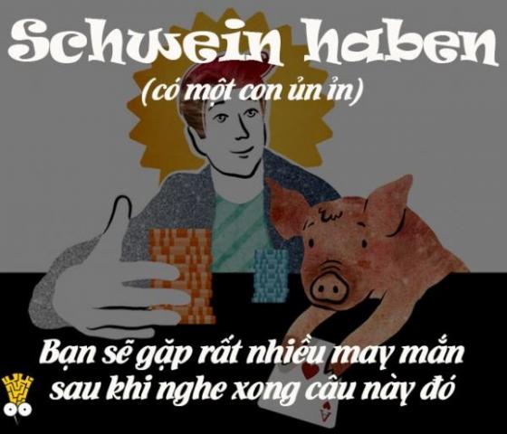 Con Lợn và vị trí tối thượng trong tiếng Đức: Chuyện vui đợi đúng ngày đầu năm Hợi mới kể!