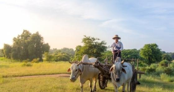 “Bình tĩnh đi… con sẽ sống lâu hơn đấy”