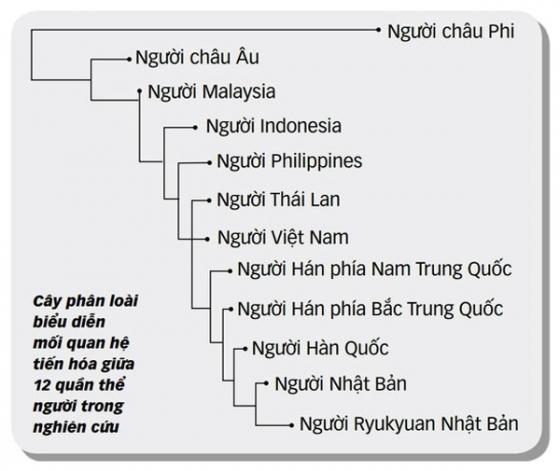 132 2 Cong Bo Nghien Cuu Bo Gen Nguoi Viet Bat Ngo Ve Nguon Goc