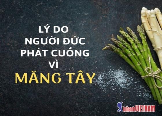 Những lý do thực sự khiến người Đức phát cuồng vì măng tây