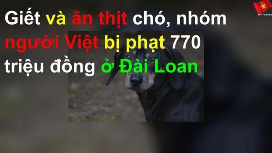 Giết và ăn thịt chó, nhóm người Việt bị phạt 770 triệu đồng ở Đài Loan