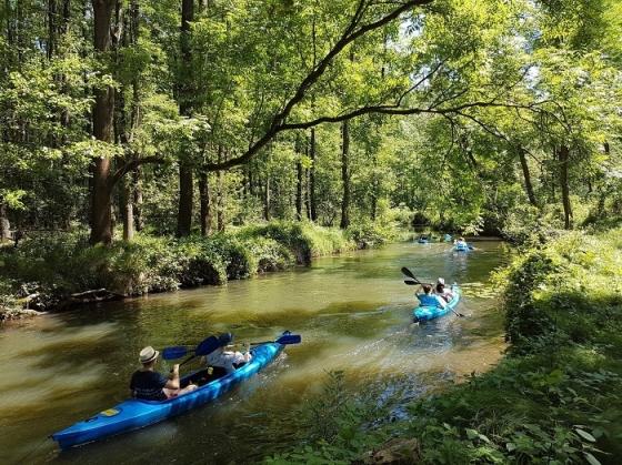 Một ngày bình yên ở Spreewald