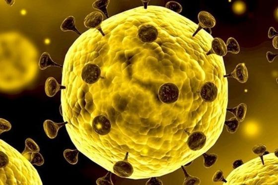 Nóng: Chính thức tìm ra nhiệt độ khiến virus corona bị tiêu diệt hoàn toàn