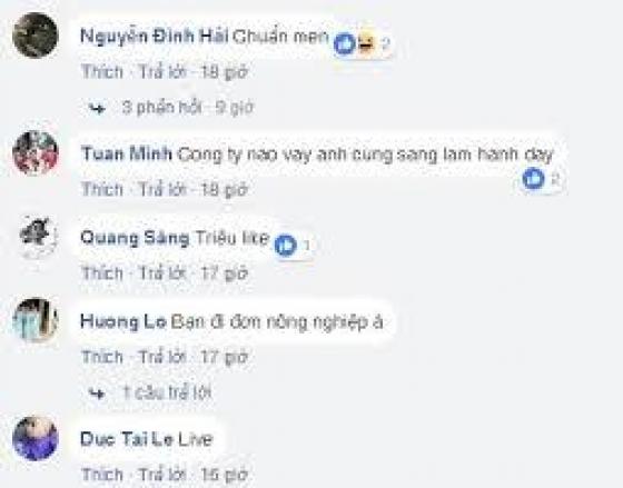 132 3 Noi Long Cua Viet Kieu Ve Nuoc  Di 3 Nam Chang Hoi Han Gi Den Ngay Ve Thi Nhan Tin Comment Hoi Qua