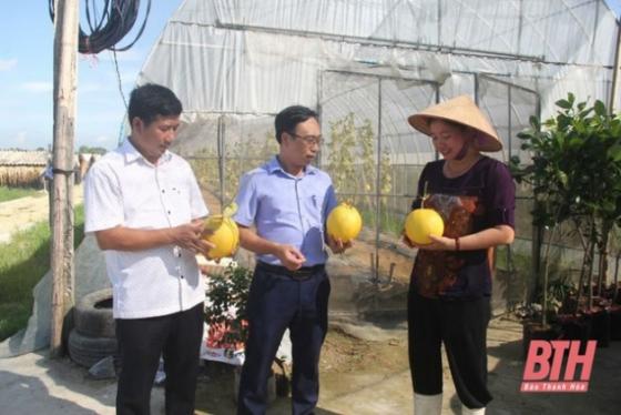 132 10 Tu Bo Cuoc Song Hoa Le O Chau Au Ve Que Vo Chong Viet Kieu Bo Tien Ty Lam Nong Dan Chinh Hieu