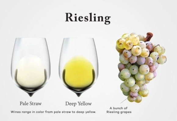 Nho trắng Riesling – Niềm tự hào của nước Đức