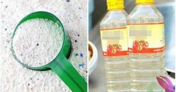 Trộn giấm trắng vào bột giặt có tác dụng rất mạnh, hầu như chưa ai biết