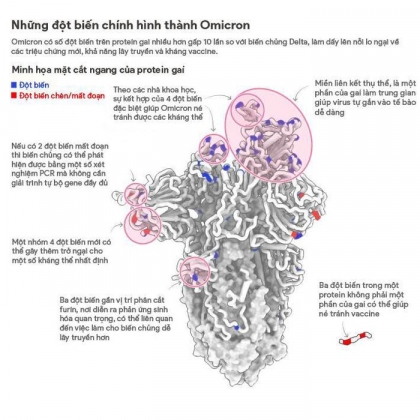 4 Trieu Chung O Nguoi Nhiem Omicron Va Hieu Qua Cua Mui Vaccine Thu Ba