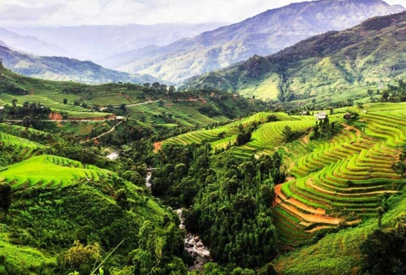 Nhà văn Nguyên Ngọc: “Giá chúng ta giữ Tây Nguyên như một Bhutan”