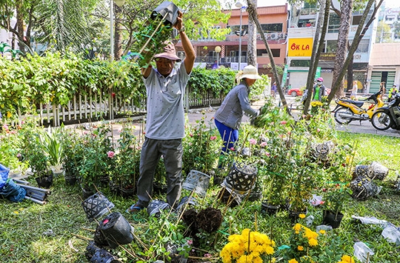 Đập bỏ hoa, cây cảnh trên phố là hành vi phá hoại nơi công cộng