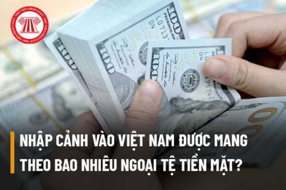 2 Nhap Canh Vao Viet Nam Duoc Mang Theo Bao Nhieu Ngoai Te Tien Mat Thi Phai Khai Bao Hai Quan Cua Khau